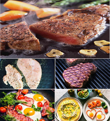 13kg Ηλεκτρικό Grill Panini Εμπορική Panini Sandwich Press Ατσάλινο Grill Μία επαφή